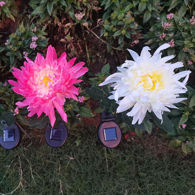 LightBud Solar Chrysanthemum Lantern