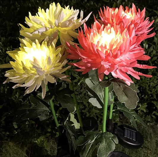 LightBud Solar Chrysanthemum Lantern