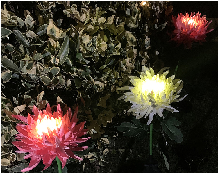 LightBud Solar Chrysanthemum Lantern