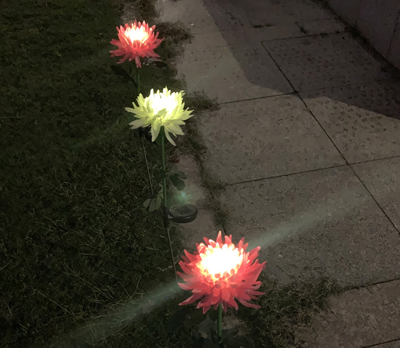 LightBud Solar Chrysanthemum Lantern