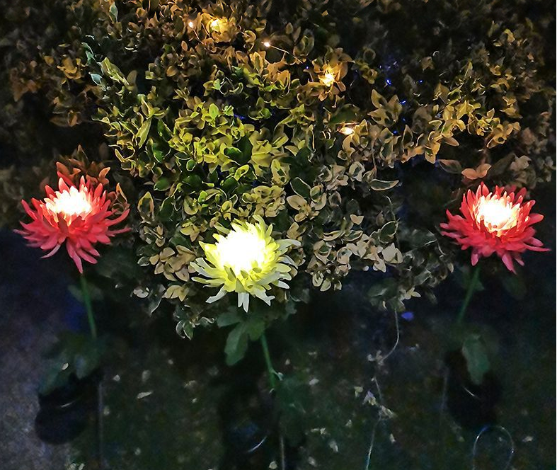 LightBud Solar Chrysanthemum Lantern